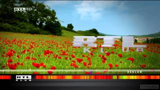 RTL Klub HD Hungary Spring Idents 2013 hd1080 [upl. by Ynes]