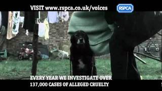 RSPCA Campaigns  Voices [upl. by Alliscirp]