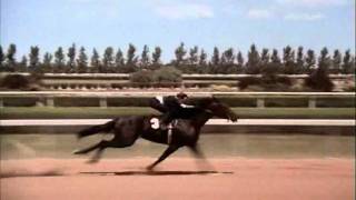 The Black Stallion Race Rescored Whit Return To Snowy River Music [upl. by Daisie396]