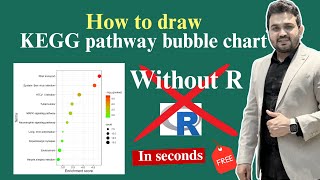 How to draw KEGG pathway enrichment bubble chart [upl. by Longo]