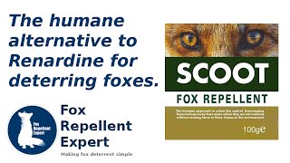 The humane alternative to Renardine for deterring foxes [upl. by Lilith318]