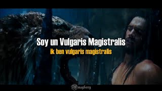 Vulgaris Magistralis Heidevolk Sub español amp lyrics [upl. by Leugimsiul]