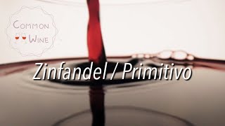 진판델 Zinfandel프리미티보 Primitivo  와인 품종 이야기  와인 기초  와인공부 [upl. by Rumilly]