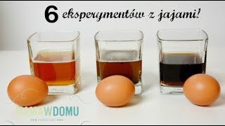 Eksperymenty z jajami idealne dla dzieci mamawdomu [upl. by Hill]