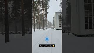 🤩April in Finland😅better than rain I suppose 🤔 spring finland snow tiktokfin huhtikuu lunta [upl. by Morganica]