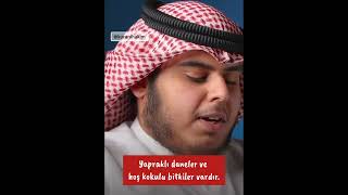 Duygusal Rahman Suresi OkuyuşuCabir elKattan Rahman127ayetler Jaber al Kattan [upl. by Notlehs]