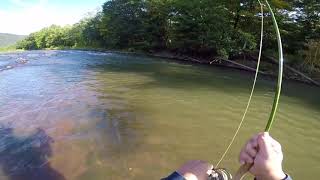 Esopus Creek Fly Fishing [upl. by Etat]