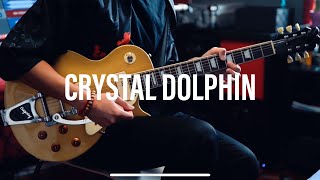 Crystal Dolphin [upl. by Lecroy]