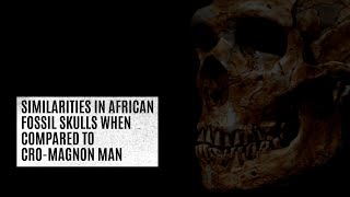 Similarities in African fossil skulls when compared to CroMagnon Man [upl. by Lesirg]