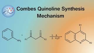 Combes Quinoline Synthesis Mechanism  Organic Chemistry [upl. by Koah]