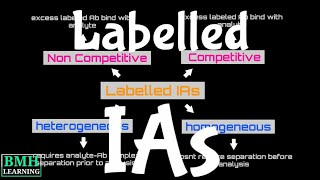 Labelled Immunoassays  Heterogenous Immunoassays  Homogenous Immunoassays [upl. by Annav]