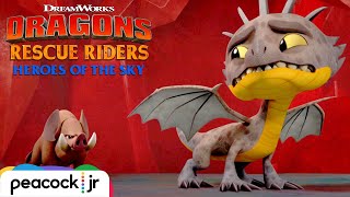 Burple vs The Boars  DRAGONS RESCUE RIDERS HEROES OF THE SKY [upl. by Thanh]