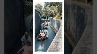 Madeira Toboggan Ride Traditional Wicker Basket Sledges madeira traveling toboggan portugal [upl. by Aitnwahs]