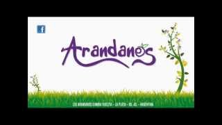 Los Arandanos  Estoy Aqui [upl. by Fulbert]