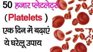 खून में प्लेट बढ़ाने का घरेलू नुस्खा  how to increase blood platelets in hindi [upl. by Sancho]