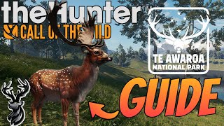 How to Spawn GREAT ONE FALLOW in TE AWAROA Zone Guide Call of the Wild [upl. by Euqirdor503]