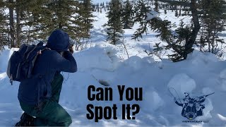 Hunting The Snowshoe Hare  Rabbit Hunting In Alaska [upl. by Bahr]