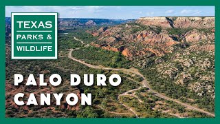 Palo Duro Canyon State Park Texas [upl. by Inaja579]