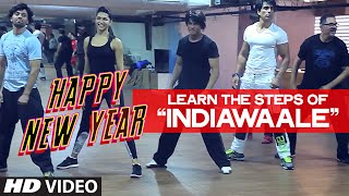 OFFICIAL Learn India Waale DANCE STEPS with Shahrukh Khan  Happy New Year [upl. by Danica]