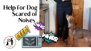 Help for Dog Scared of Noises [upl. by Alekin]