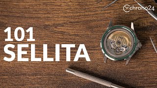 SELLITA explained in 3 minutes  Short on Time [upl. by Plume]