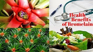 6 Unbelievable Health Benefits of Bromelain [upl. by Nanor214]