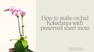 How to make orchid kokedama [upl. by Modeste714]