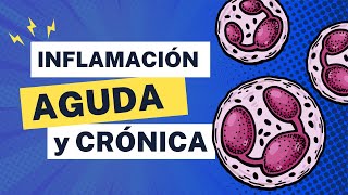 Emisión en directo  Inflamación regeneración y reparación de tejidos  Curso de patología 2024A [upl. by Lyckman460]