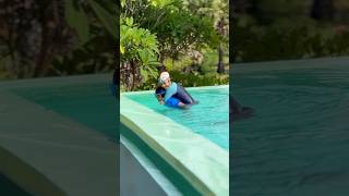 Amma kuda Pondicherry la swimming 🥰🤩ishqyouall dance swv tamil youtube shortsvideo [upl. by Oigimer253]