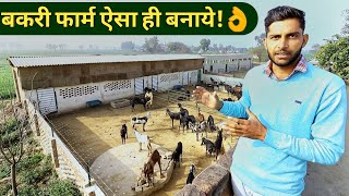 मॉडर्न बकरी फार्म ऐसे बनायेHow to MakeStart Goat Farm in hindiShed design India 9350146903 [upl. by Malvie515]