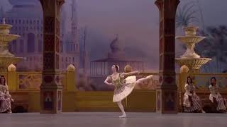 LE CORSAIRE  Pas de Trois des Odalisque Coda Bolshoi Ballet [upl. by Hightower421]