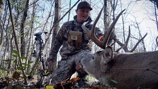 Big Northern Minnesota buck Archery self filmed [upl. by Alexandria92]