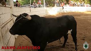 LA RL DE ESTEBAN RODRIGUEZ Vs quotEL PARCHEquot DE RANCHO BRAVO DE ELIAS LEON EN BAKERSFIELD CA 9323 [upl. by Ardnohs]