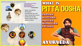 Pitta Dosha Made Simple  Easy Ayurveda Animation [upl. by Alejo]