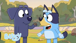 Los mejores amigos de Bluey y Bingo de la temporada 1  Bluey Español Canal Oficial [upl. by Lauber527]