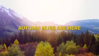 Autumn weekends start with Hertz  30 sec [upl. by Lubow]