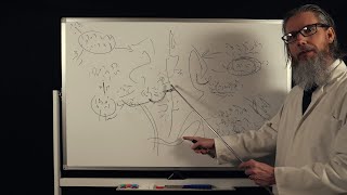 The Unintelligible Professors Lecture  ASMR [upl. by Hahsia]