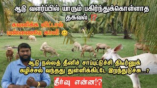 ஆடு வளர்ப்பில் யாரும் பகிர்ந்துகொள்ளாதா தகவல் பகுதி 3⁉️  சரியாக கவனிக்க விட்டால் பண்ணையே காலி🥴 [upl. by Liahus459]