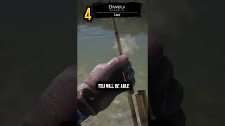 NEVER CATCH FISH WITHOUT WATER IN RDR2 😨 shorts rdr2 [upl. by Ruhnke]