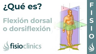 FLEXIÓN DORSAL  Qué es qué parte del cuerpo realiza este movimiento  FisioClinics Palma [upl. by Yllitnahc]