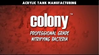 All About ATM Colony Nitrifying Bacteria [upl. by Licha]