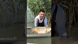 Lacul Iannis 141pesti 19peste 20kg vladfisherman carpfishing cpk zetfish pescuitlacrap [upl. by Riaj]