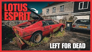 ABANDONED Cars Of CORNWALL Unreal finds  IMSTOKZE 🇬🇧 [upl. by Cyril]