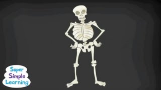 The Skeleton Dance  Classroom Fun  Super Simple Songs [upl. by Eudo]