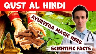 Qust Al Hindi Costus unique Indian herb What does the science say How to use Contraindications [upl. by Yolanda491]