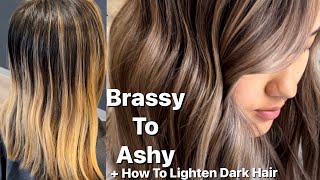 FOILAYAGE  Brassy To Ashy  How To Lighten Dark Hair [upl. by Albric452]