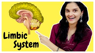 LIMBIC SYSTEM in the Brain  Anatomy and Functions of the Parts of the Limbic System  WLB [upl. by Gery983]