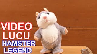 KOMPILASI VIDEO LUCU HAMSTER LEGEND GUDANG TUTORIAL [upl. by Catt]