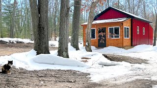 OffGrid Cabin with Secret root cellar hidden pantry amp solid security GREAT IDEAS [upl. by Ydac]