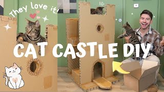 DIY CARDBOARD CAT CASTLE CHALLENGE with DAINTY DIARIES  MR CARRINGTON [upl. by Galasyn]